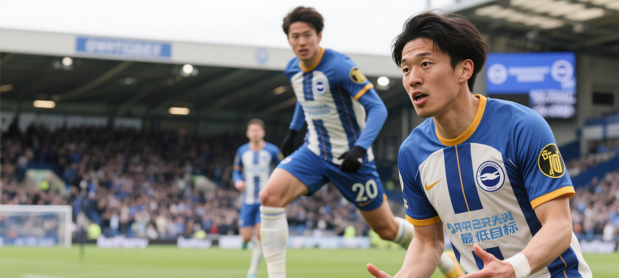 必赢体育app简介